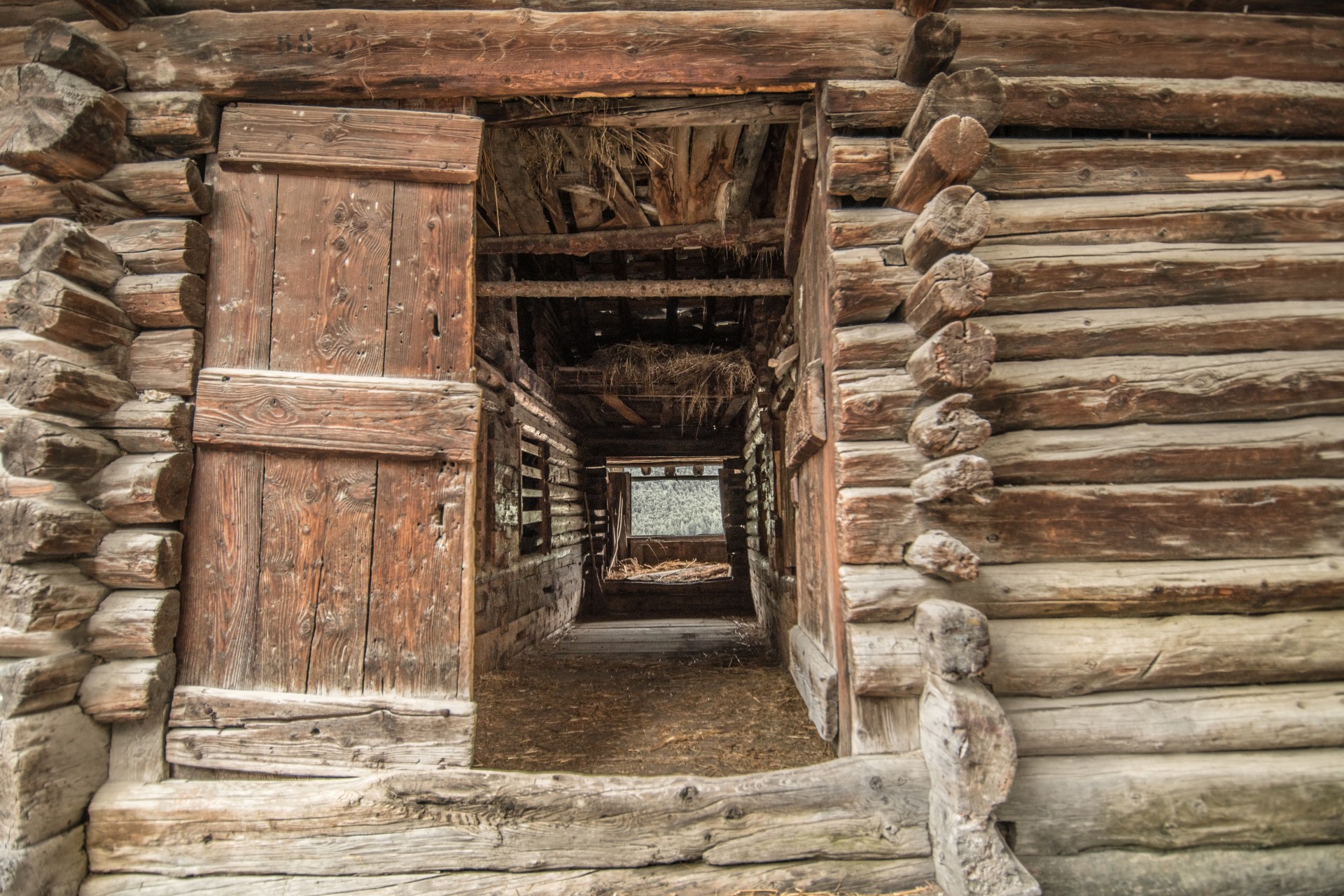 INGRESSO DI UN RASCARD DEL 1500, LIGNOD