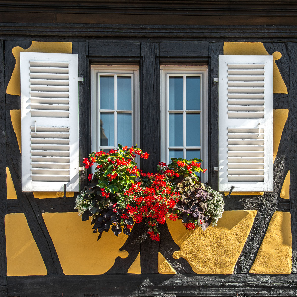Colmar, Alsazia