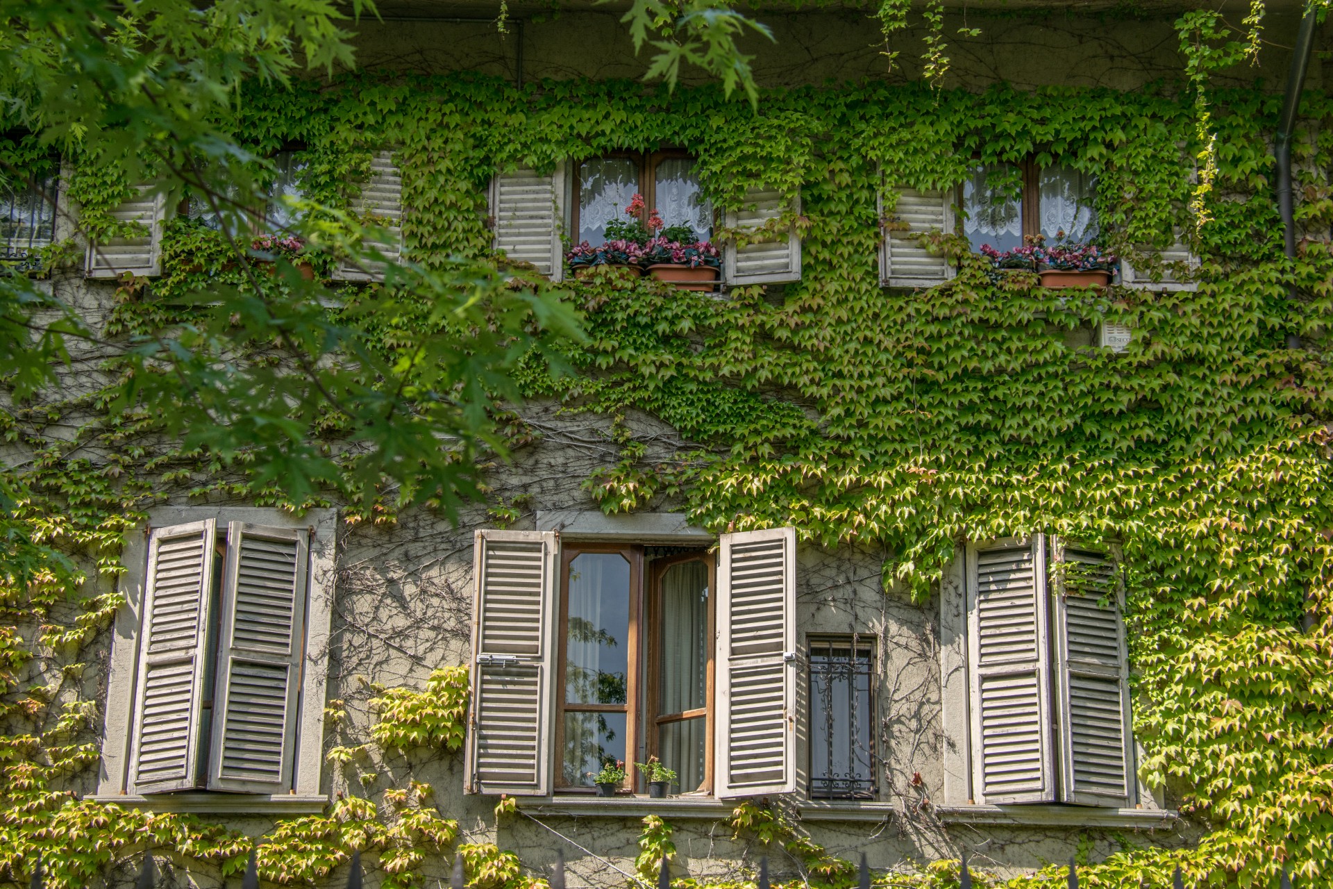 Viale V. Emanuele II, particolare