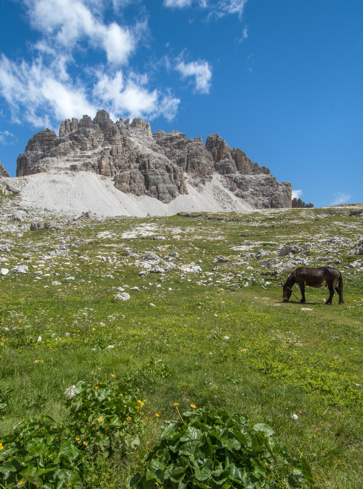 Il Croda Passaporto, Parco Naturale Tre Cime. Sud Tirol