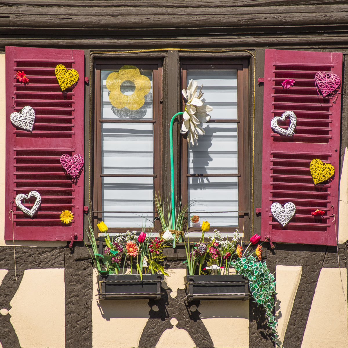 Colmar, Alsazia