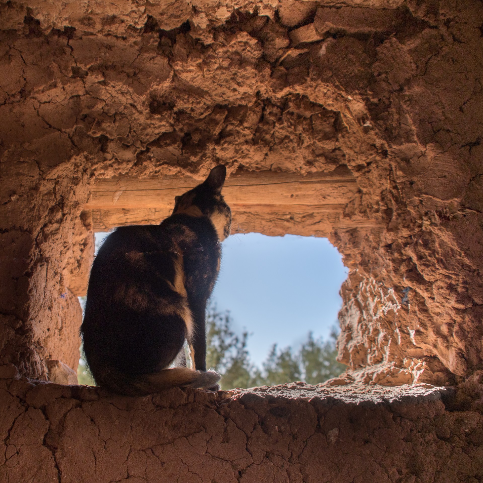 Aït Ben Haddou, Ouarzazade, Marocco-