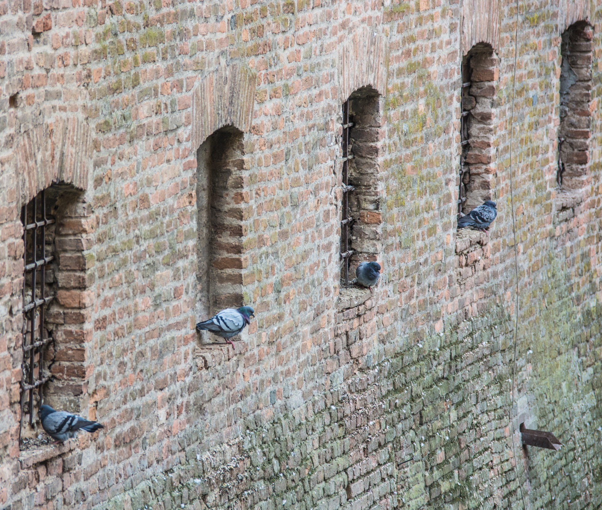 Castello di S.Giorgio, Mantova