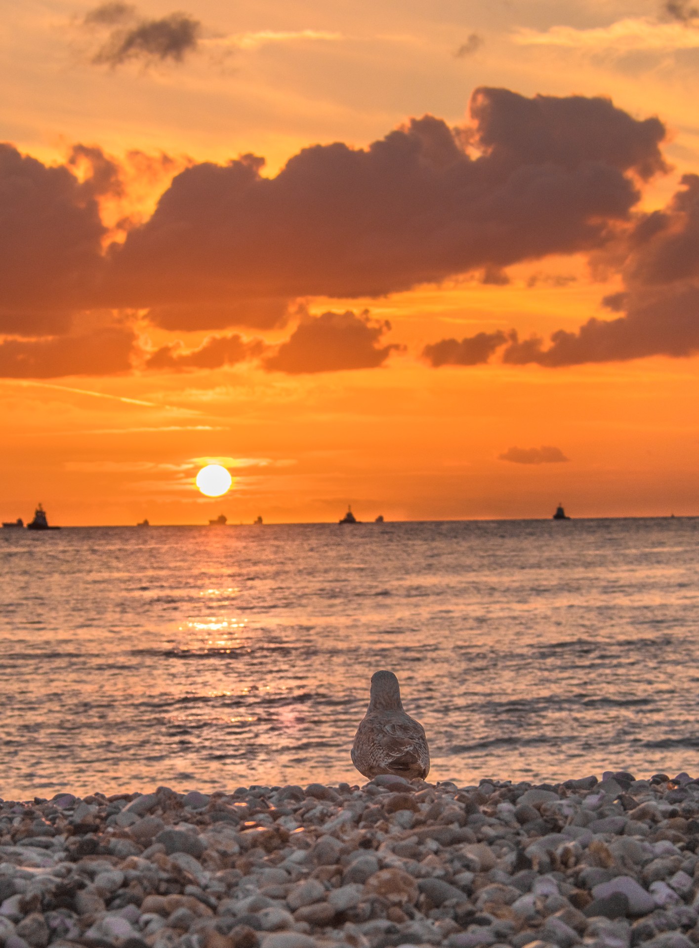Emozioni al tramonto, Le Havre. Normandia, Francia