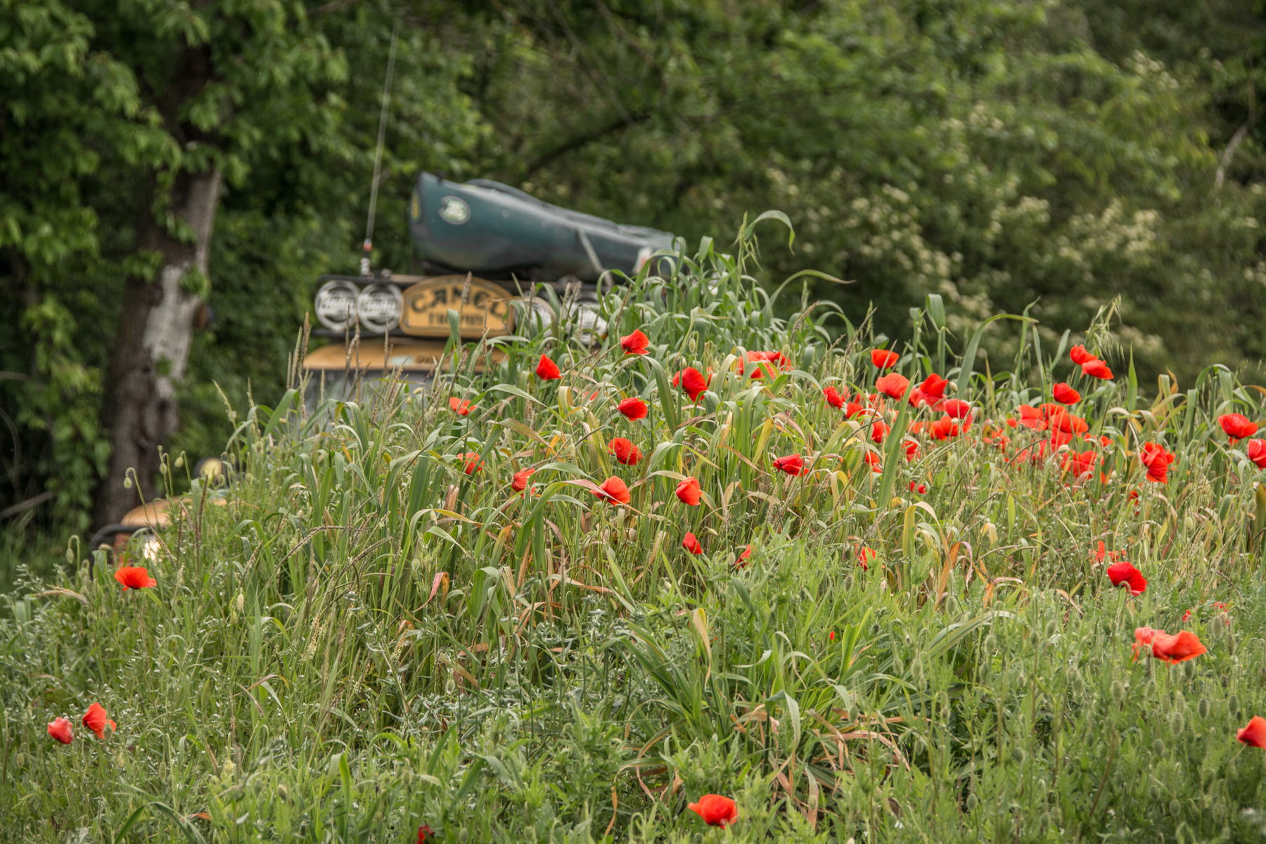 Camel Trophy history day. Val Tidone, Maggio 2019