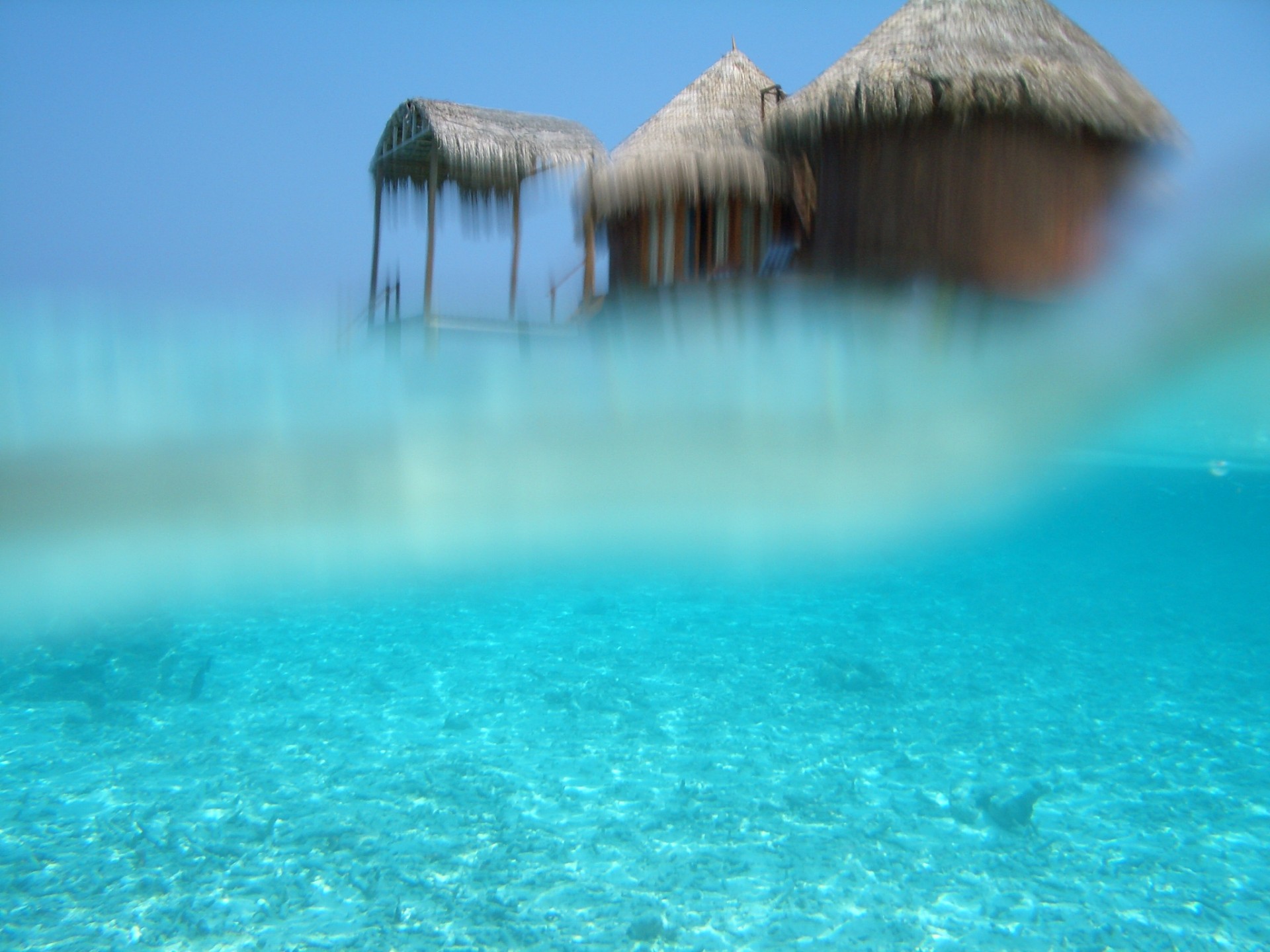 Nella laguna di Nika Island, Maldive