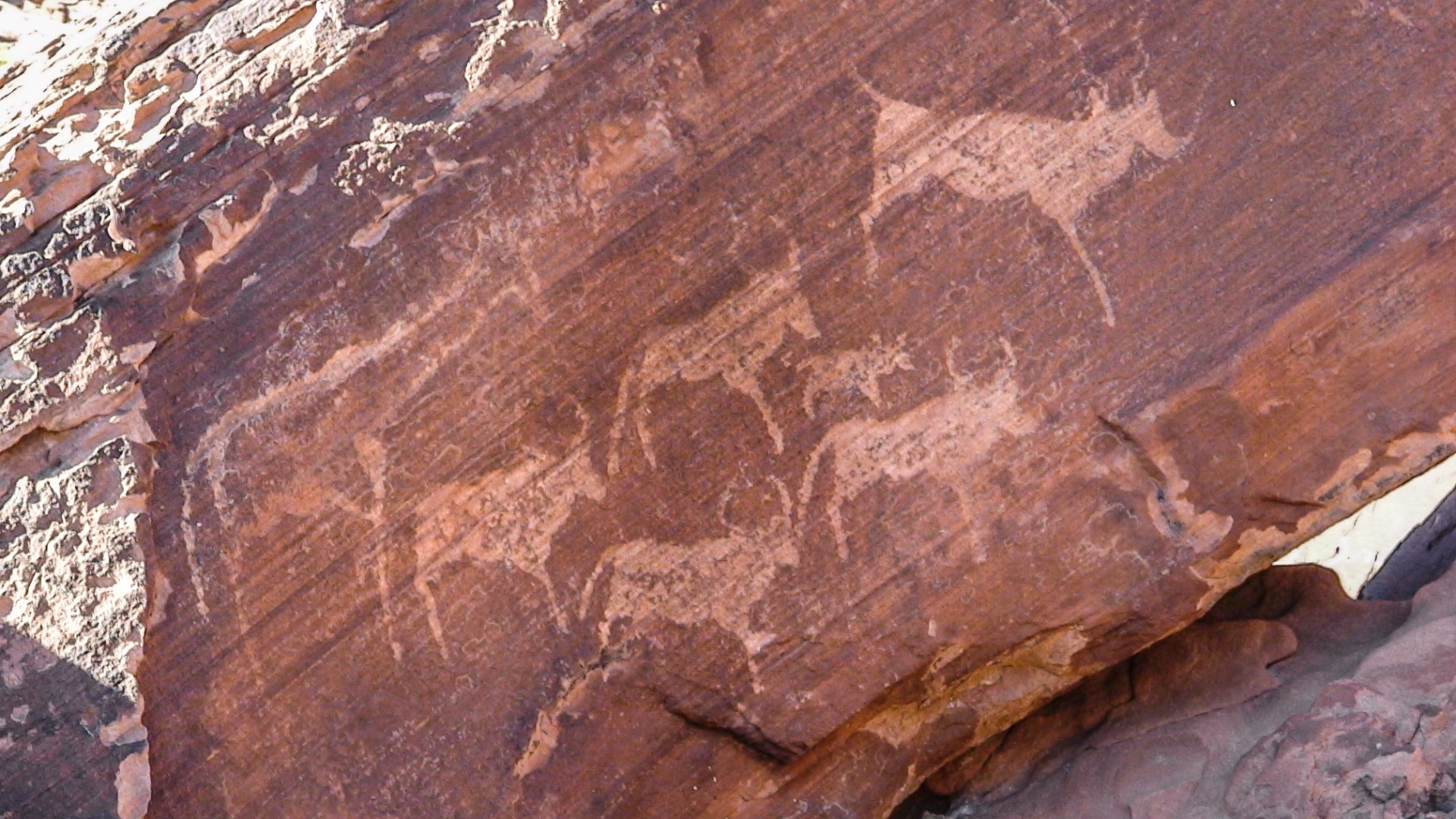 Incisioni rupestri di Twyfelfontein, datate tra i 6000 e i 10.000 anni fa. Patrimonio Unesco. Damaraland, Namibia.