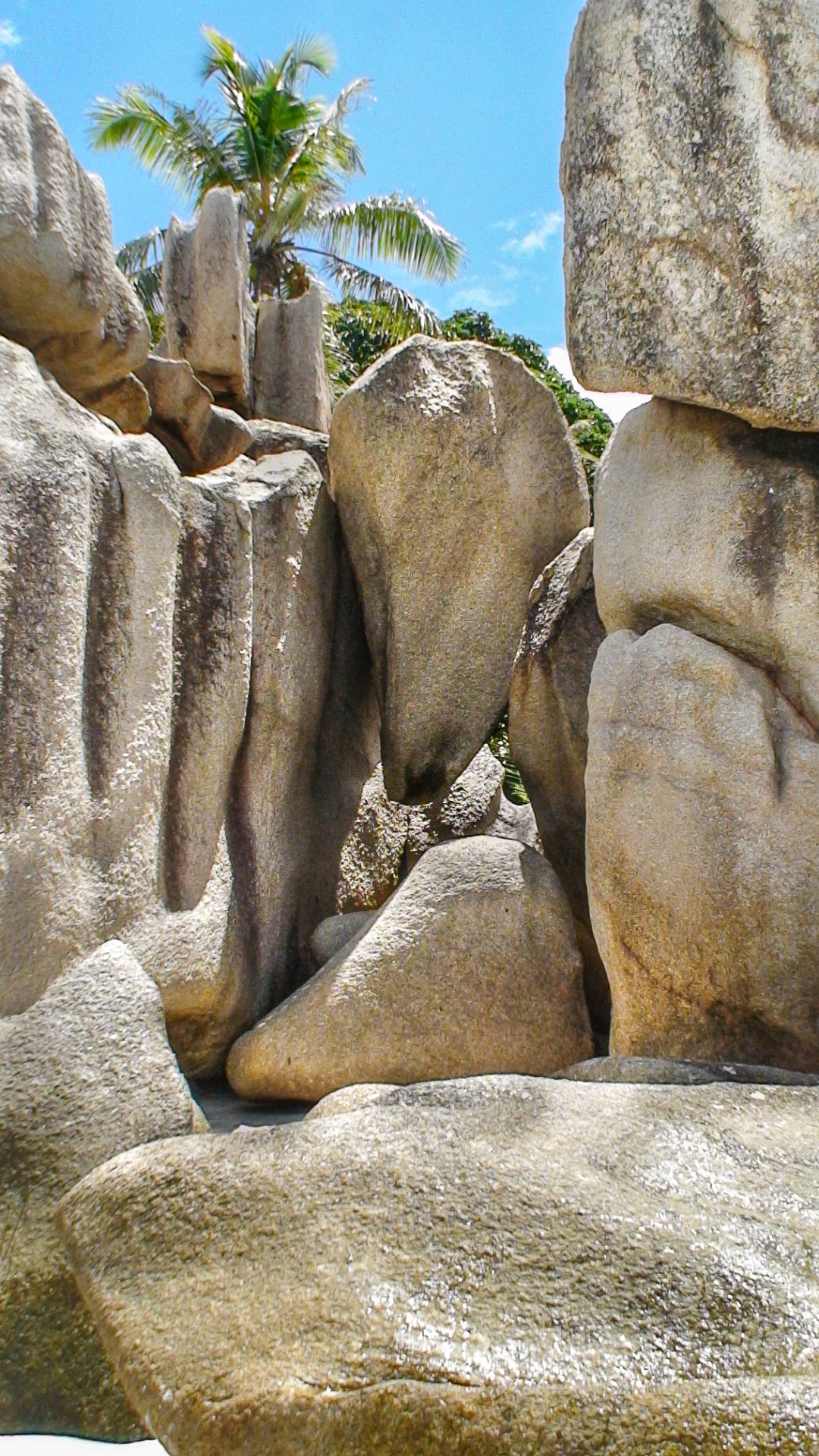 I massi granitici di La Digue. Seychelles.