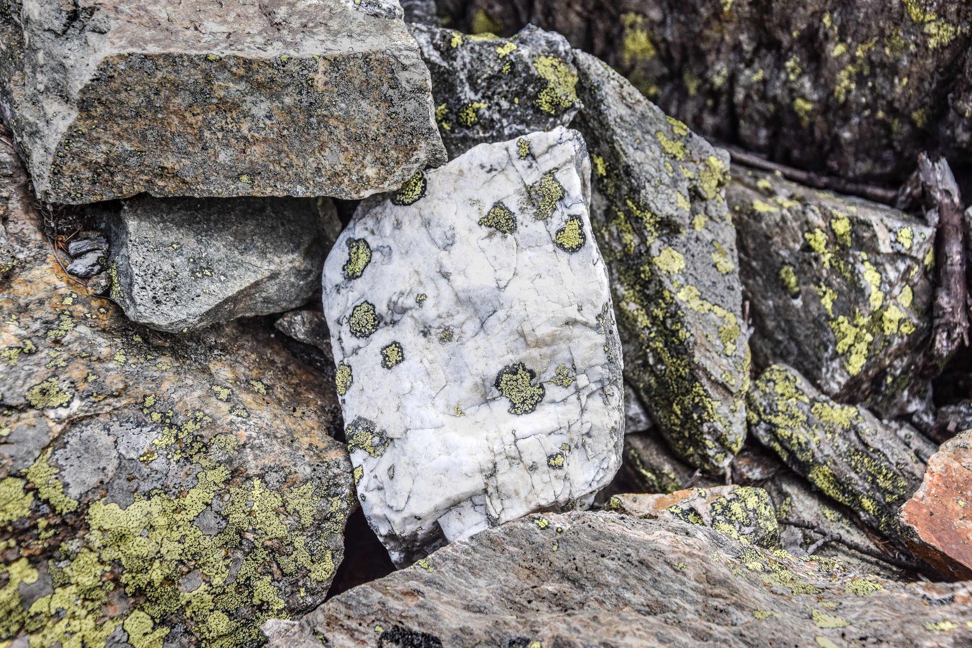 Rocce, Parco Nazionale del Gran Paradiso