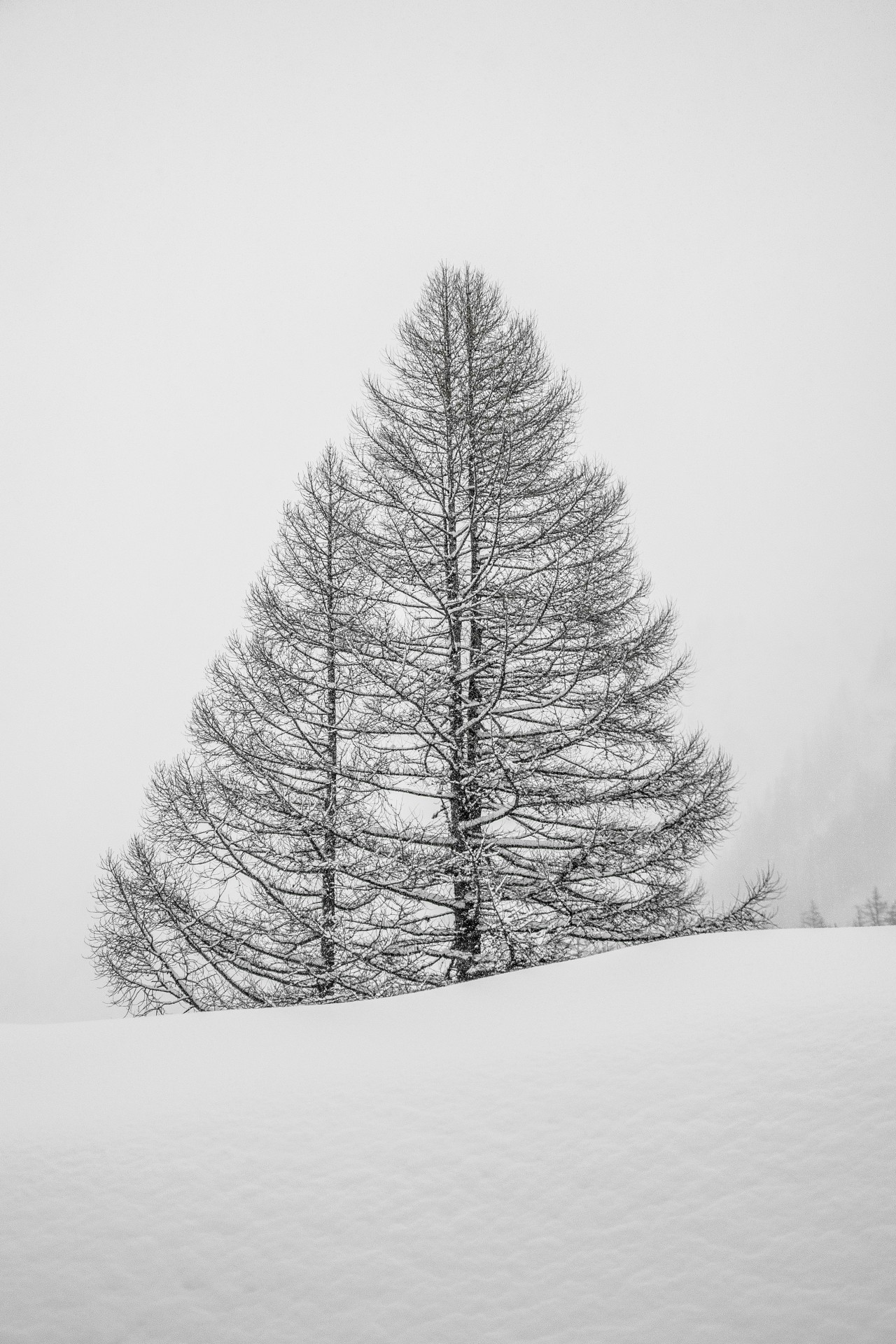 Val Formazza