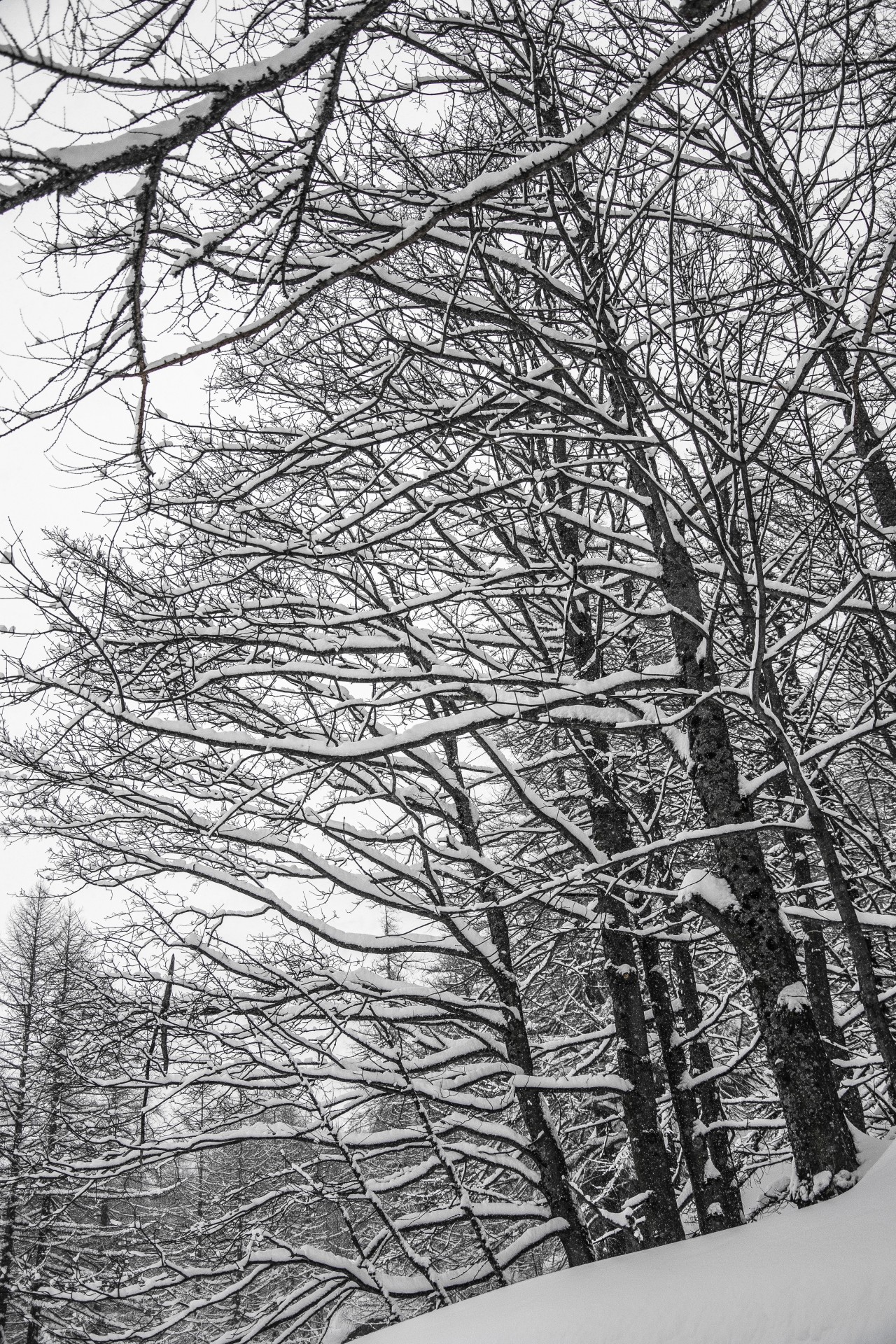 Disegni di neve, Val Formazza