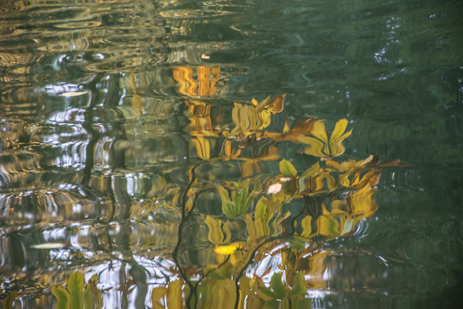 Riflessi, Parco della Villa reale di Monza