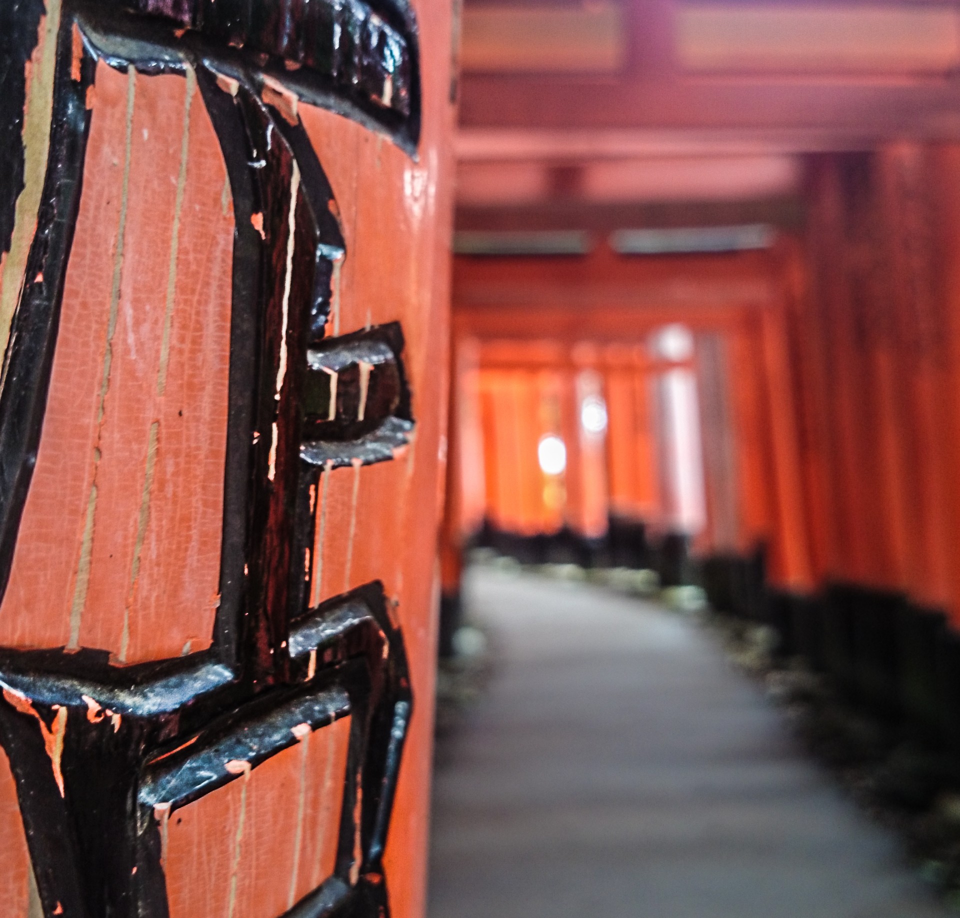 Fushimi Inari, Kyoto, Giappone. Il piu importante santuario giapponese dedicato a Inari, la divinità del buon raccolto e del successo negli affari. Diecimila pali rossi, detti tori, si snodano sul Monte Inari.