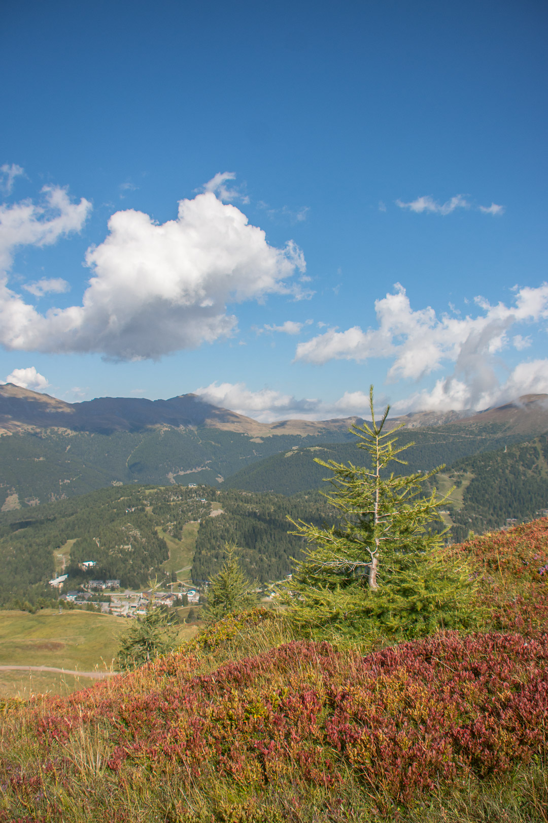 Turracher höhe, Carinzia. . Austria