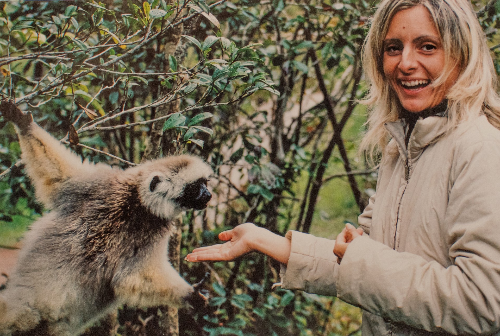 Con un lemure macao nella riserva privata del Vakona Lodge, Madagascar