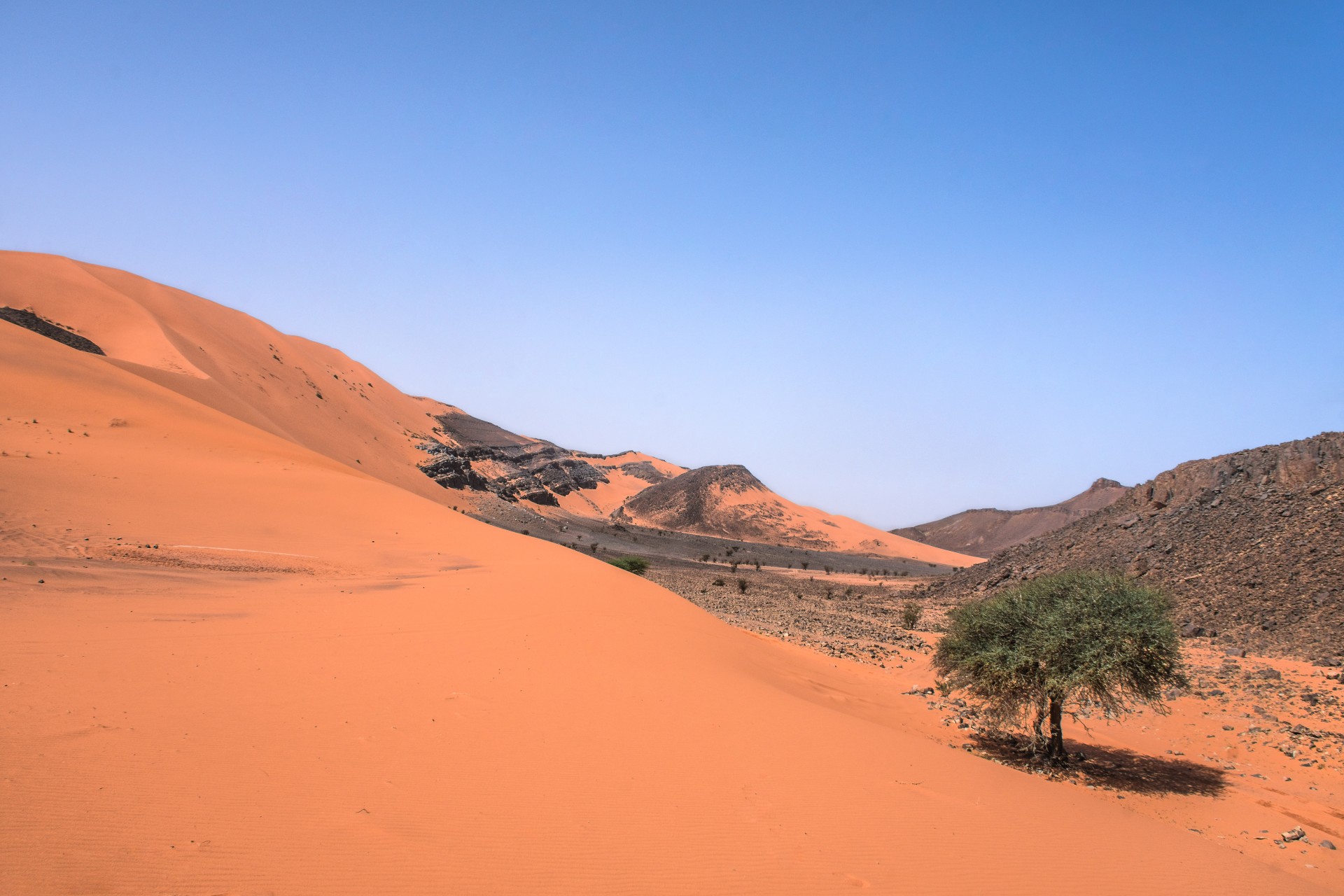 Dune rosse sulla strada Dakar, Marocco