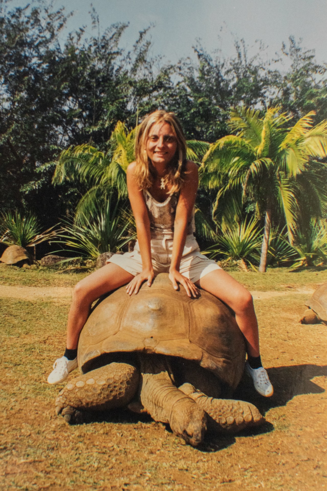 Su una tartaruga gigante di Aldabra. Isola di Mauritius, Oceano Indiano.