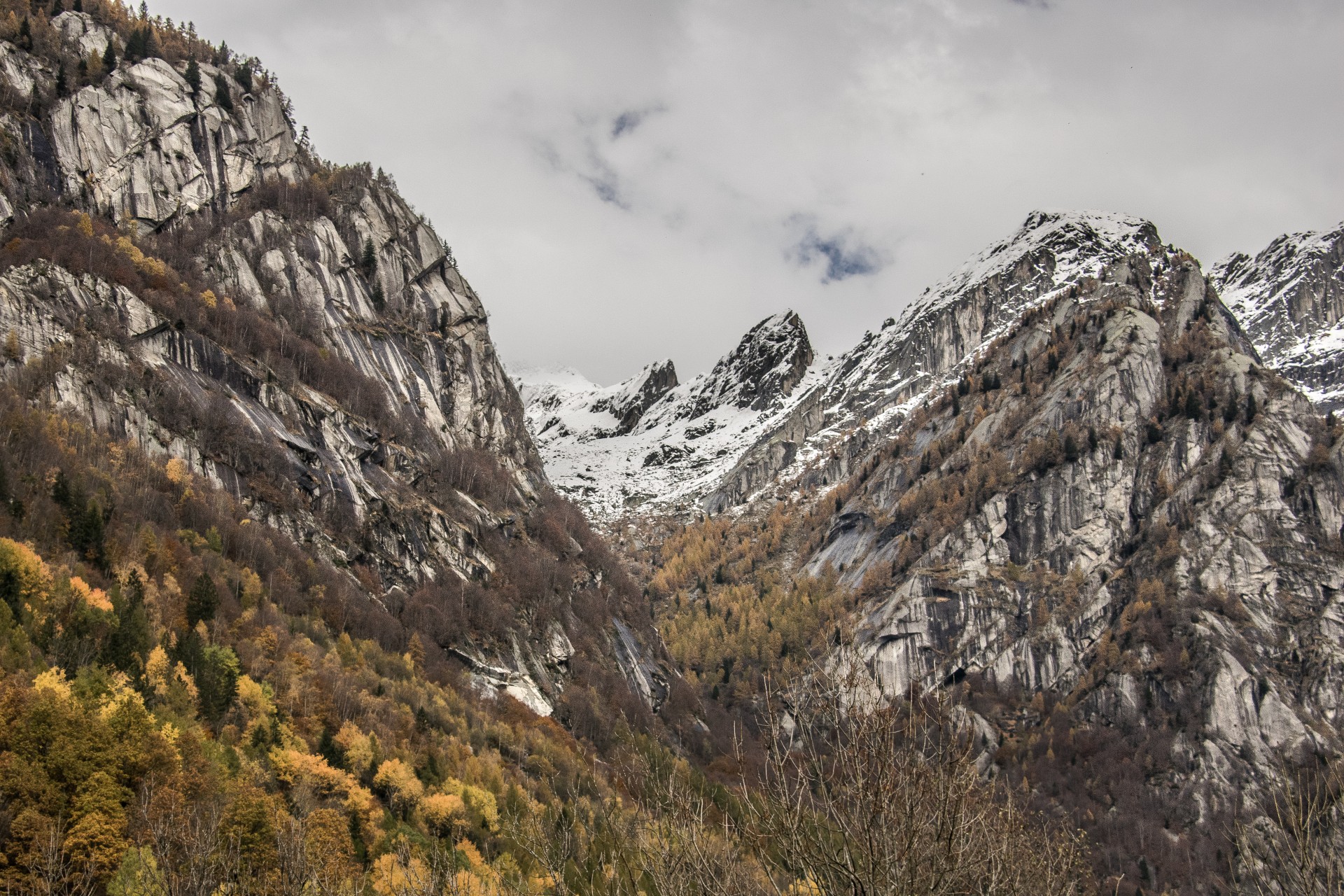 Val Masino