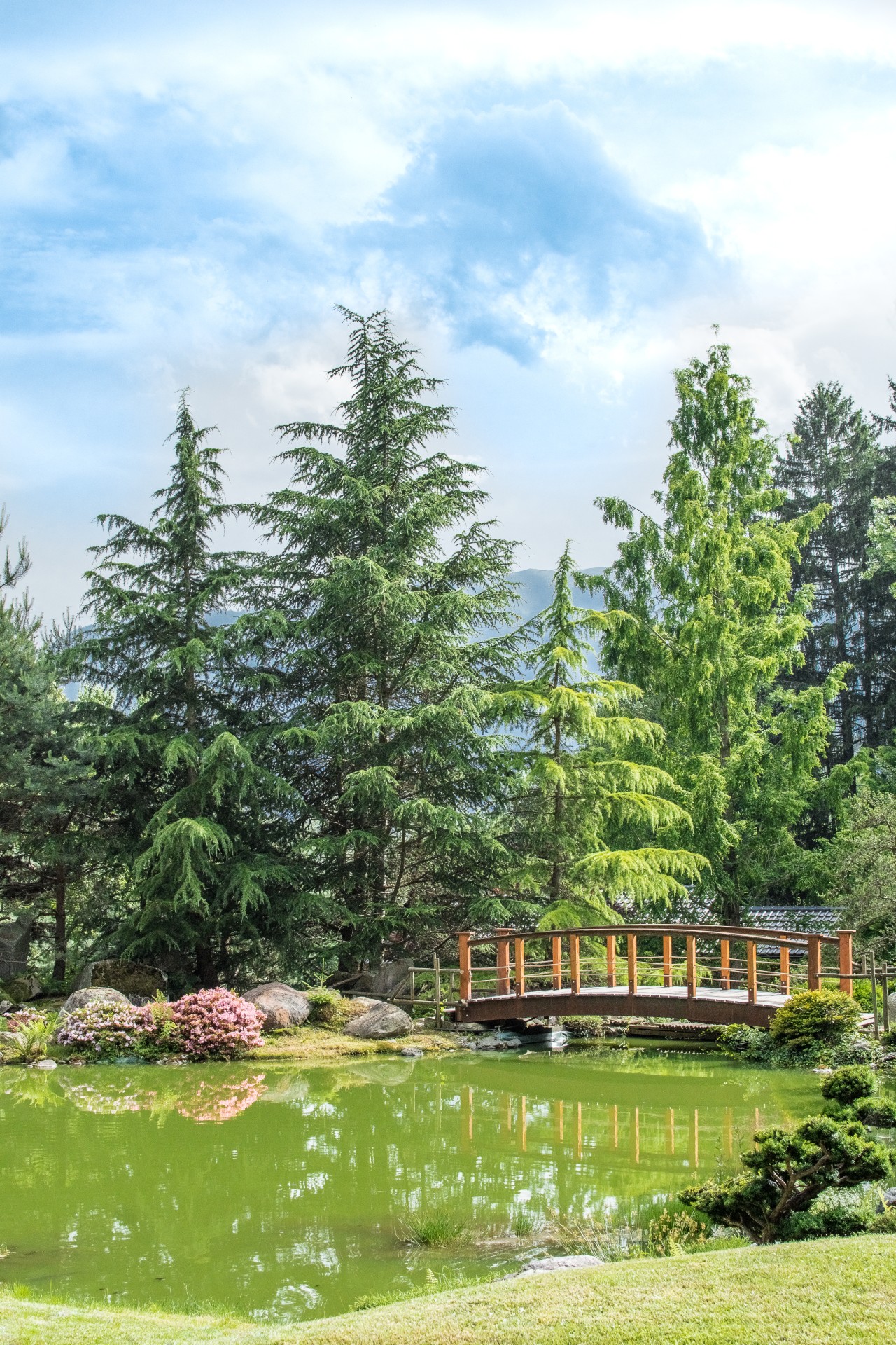 Giardino del Museo Bonsai, Seeboden, Carinzia.