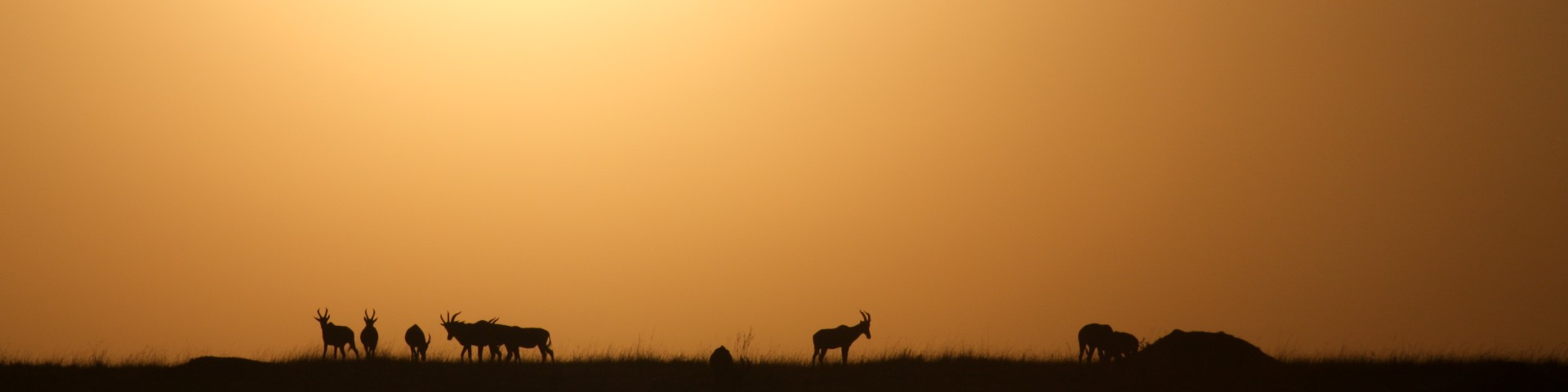 Alba sul Delta dell’Okawango, Botswana