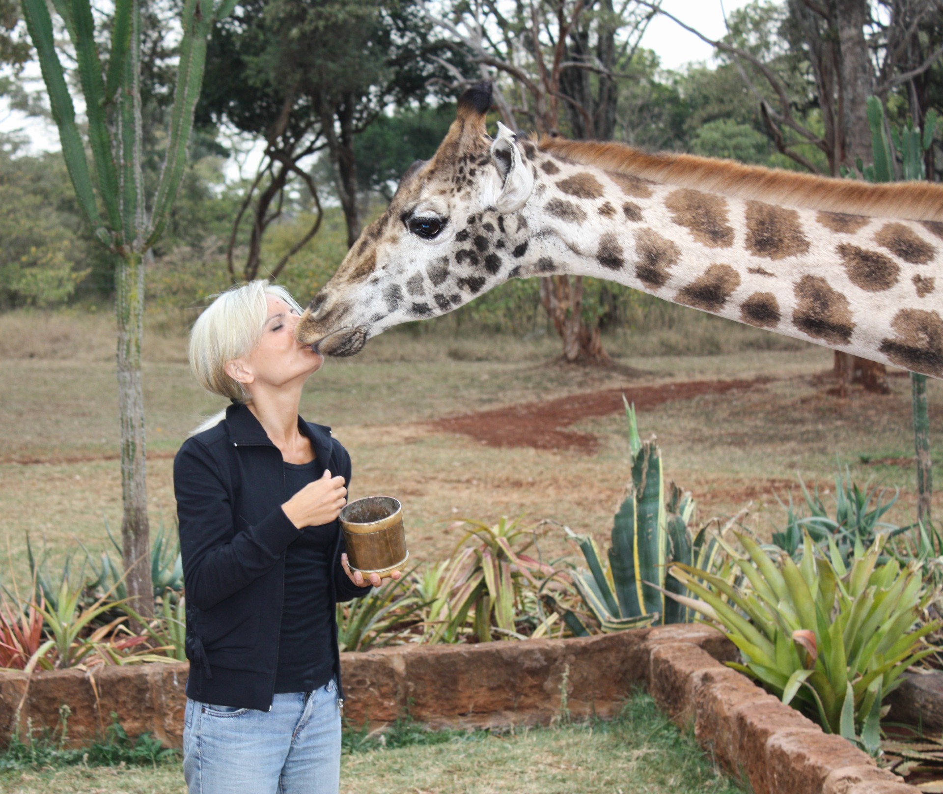 A tu per tu con una giraffa del Giraffe Manor. The Safari Collection. Nairobi, Kenya