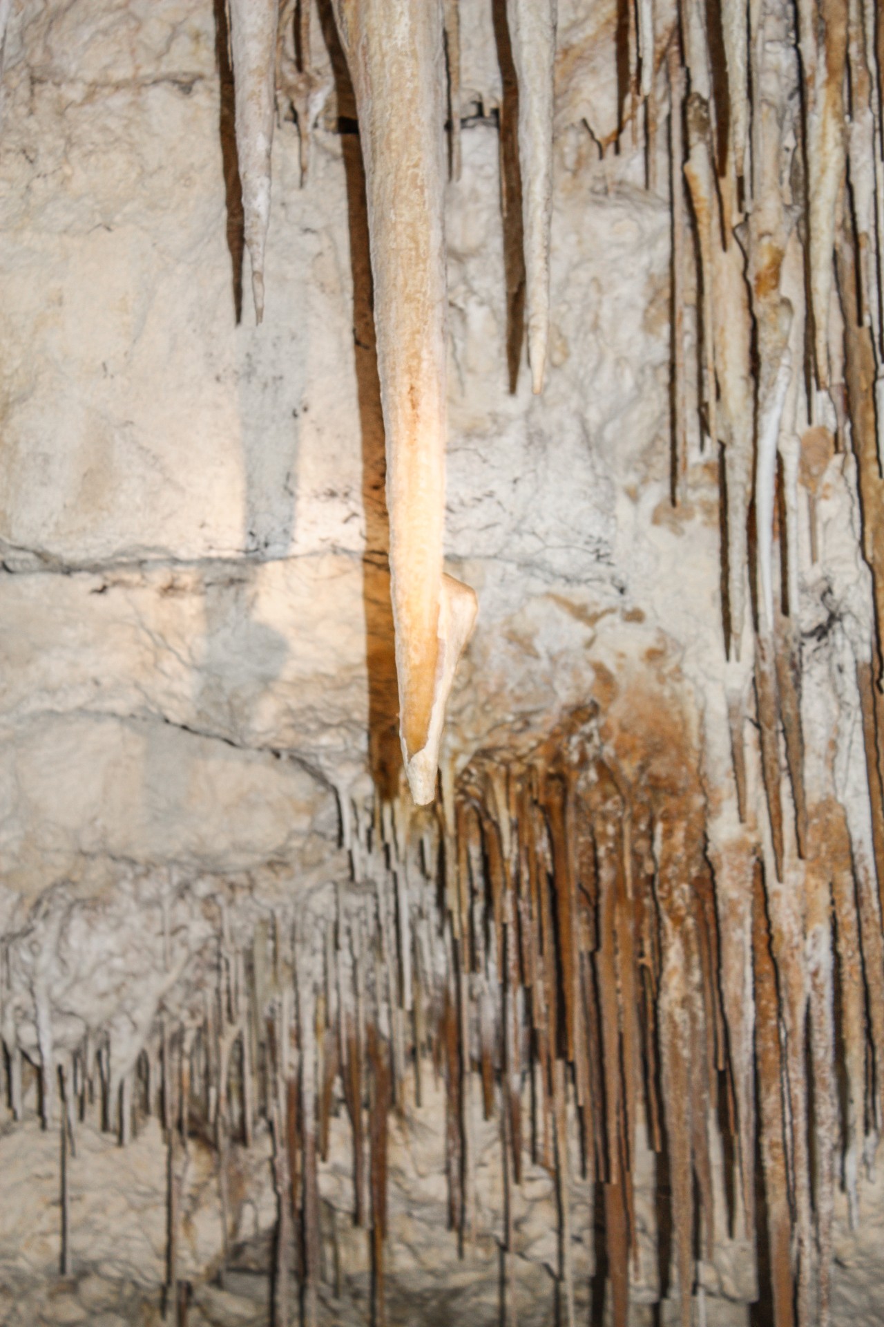 Una stalattite a forma di scarpetta di ballerina, Kelly Hill Cave, Kangaroo Island, Australia