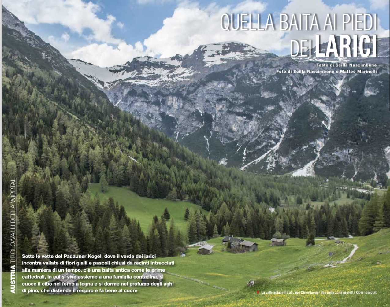 Quella baita ai piedi dei larici