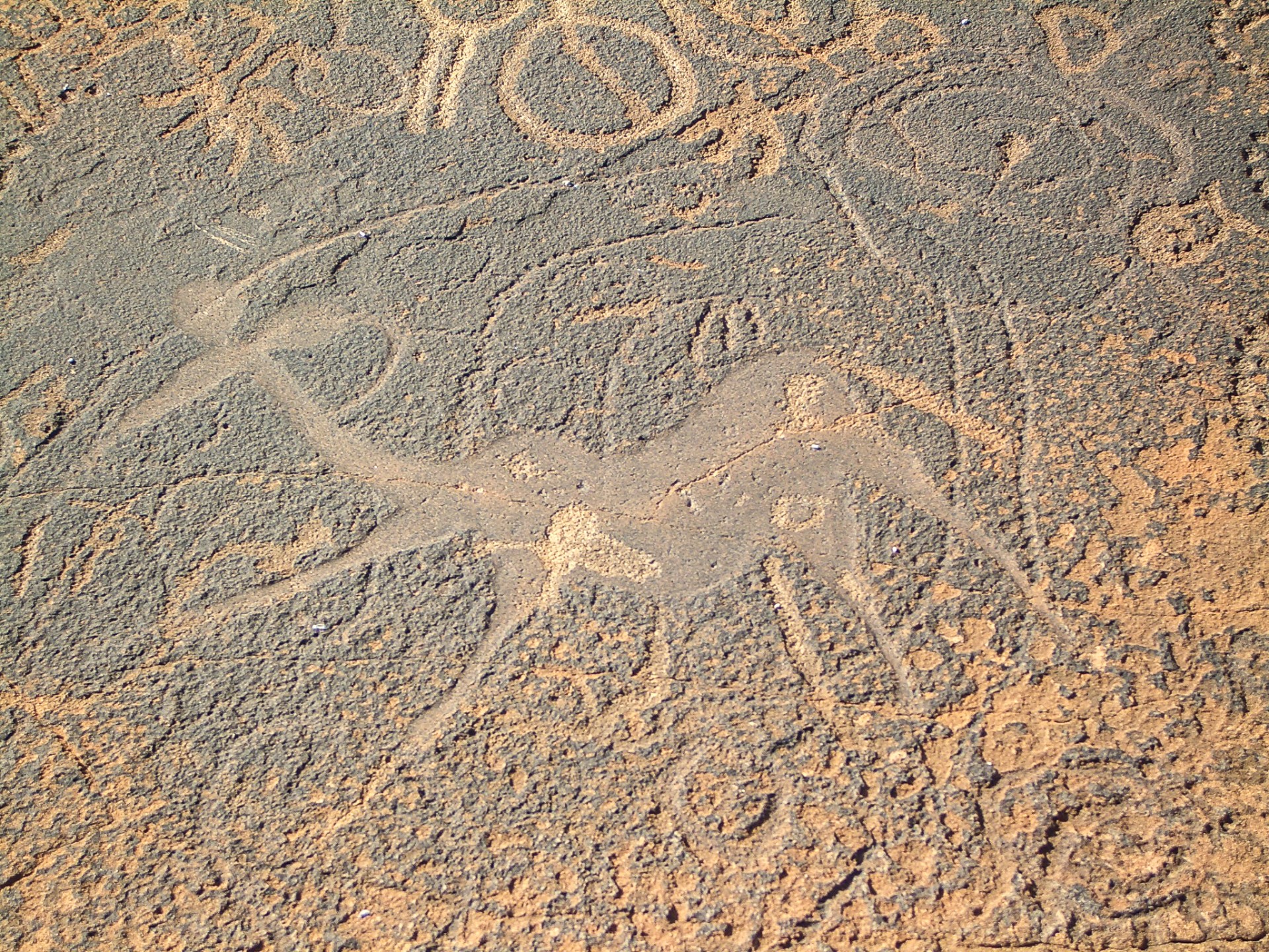 Incisioni rupestri di Twyfelfontein, datate tra i 6000 e i 10.000 anni fa. Patrimonio Unesco. Damaraland, Namibia.