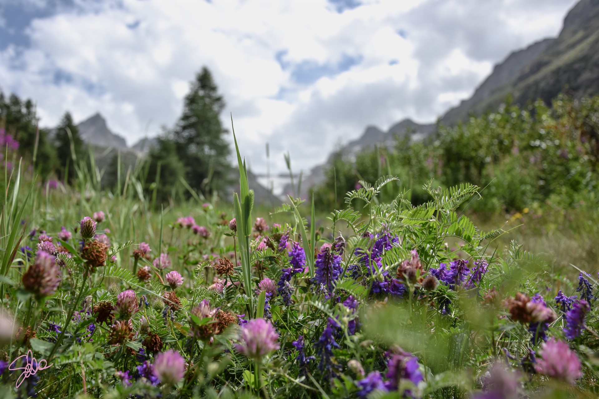 Parco del Gran Paradiso