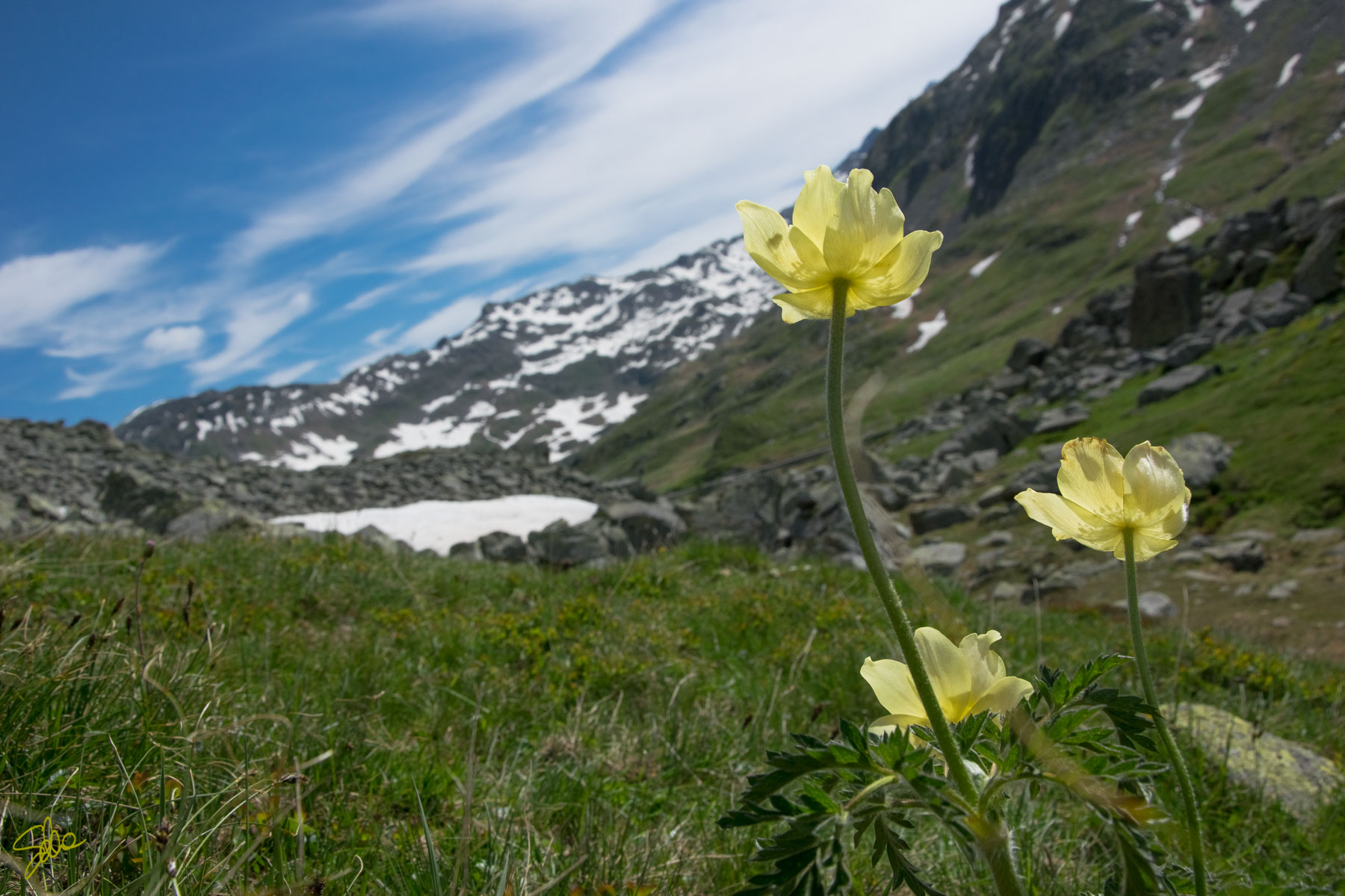 Passo dello Spluga