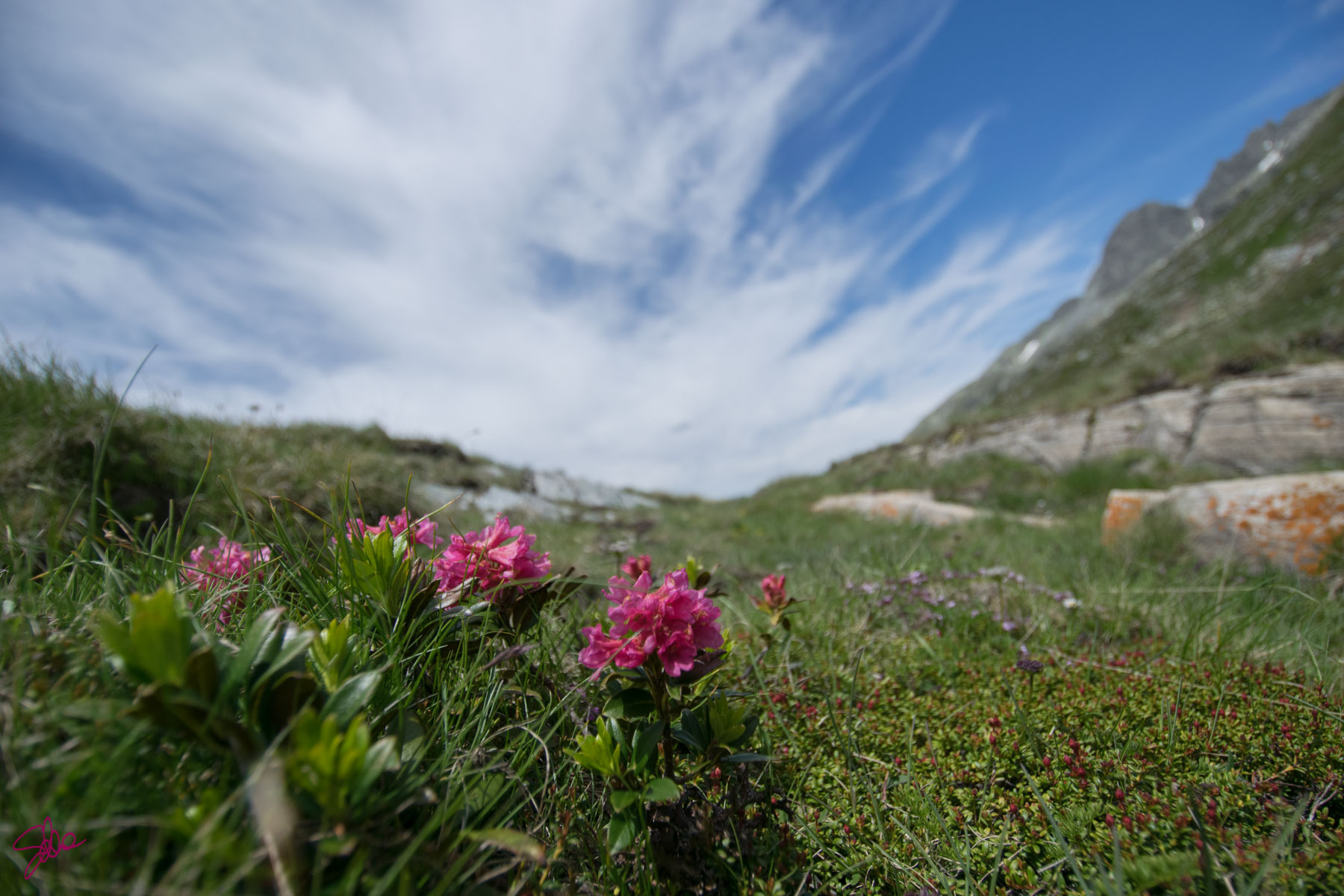 Passo dello Spluga