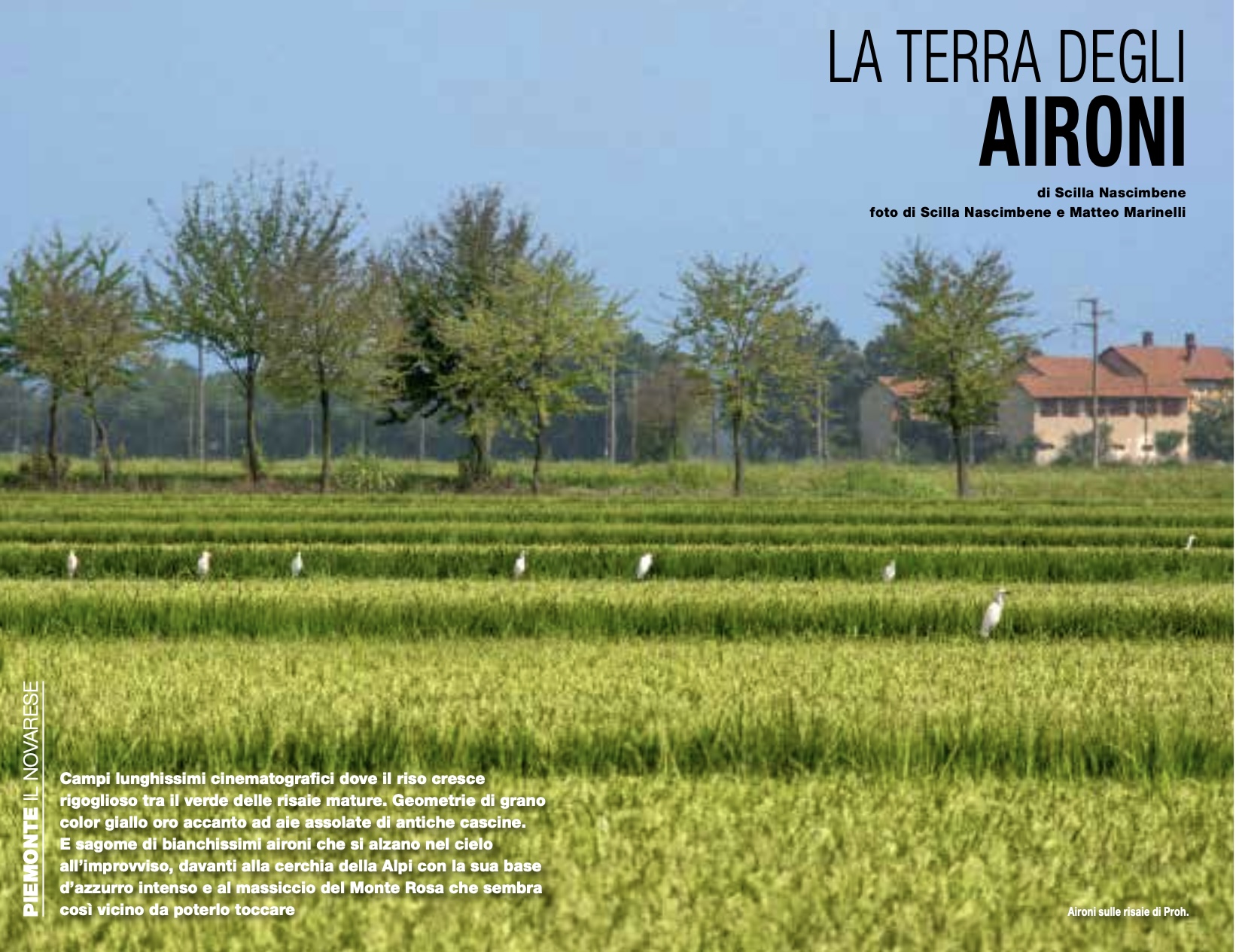 La terra degli aironi