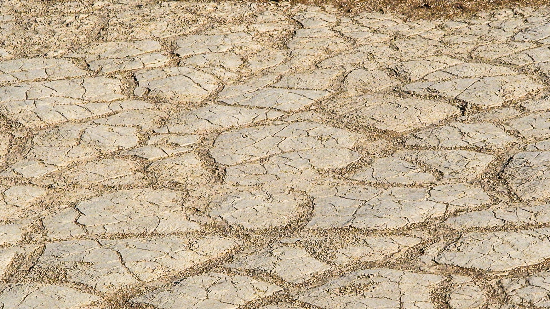 Le crepe nelle aridità di Deadvlei, Namibia