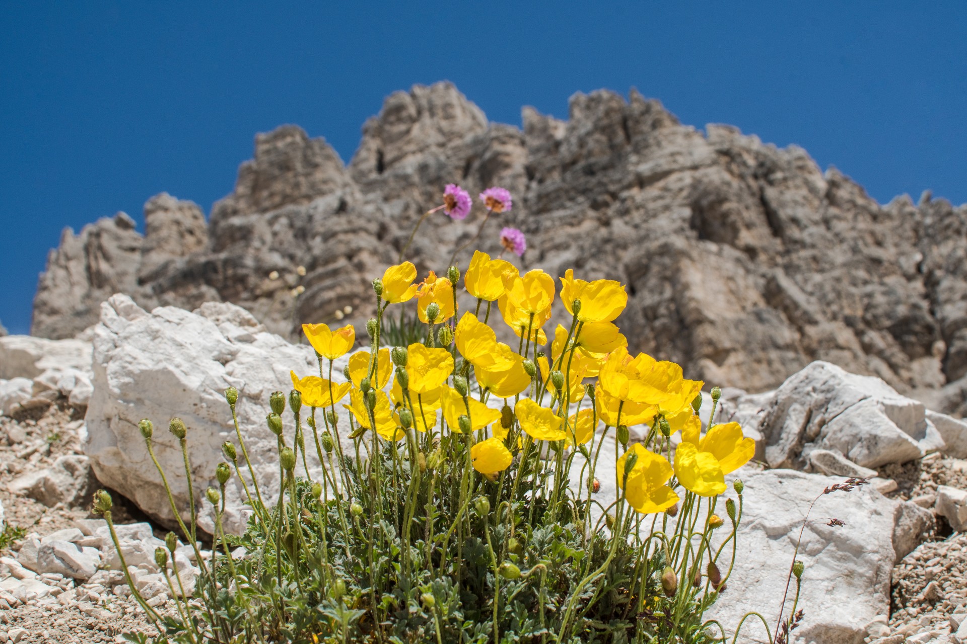 Tre Cime di Lavaredo