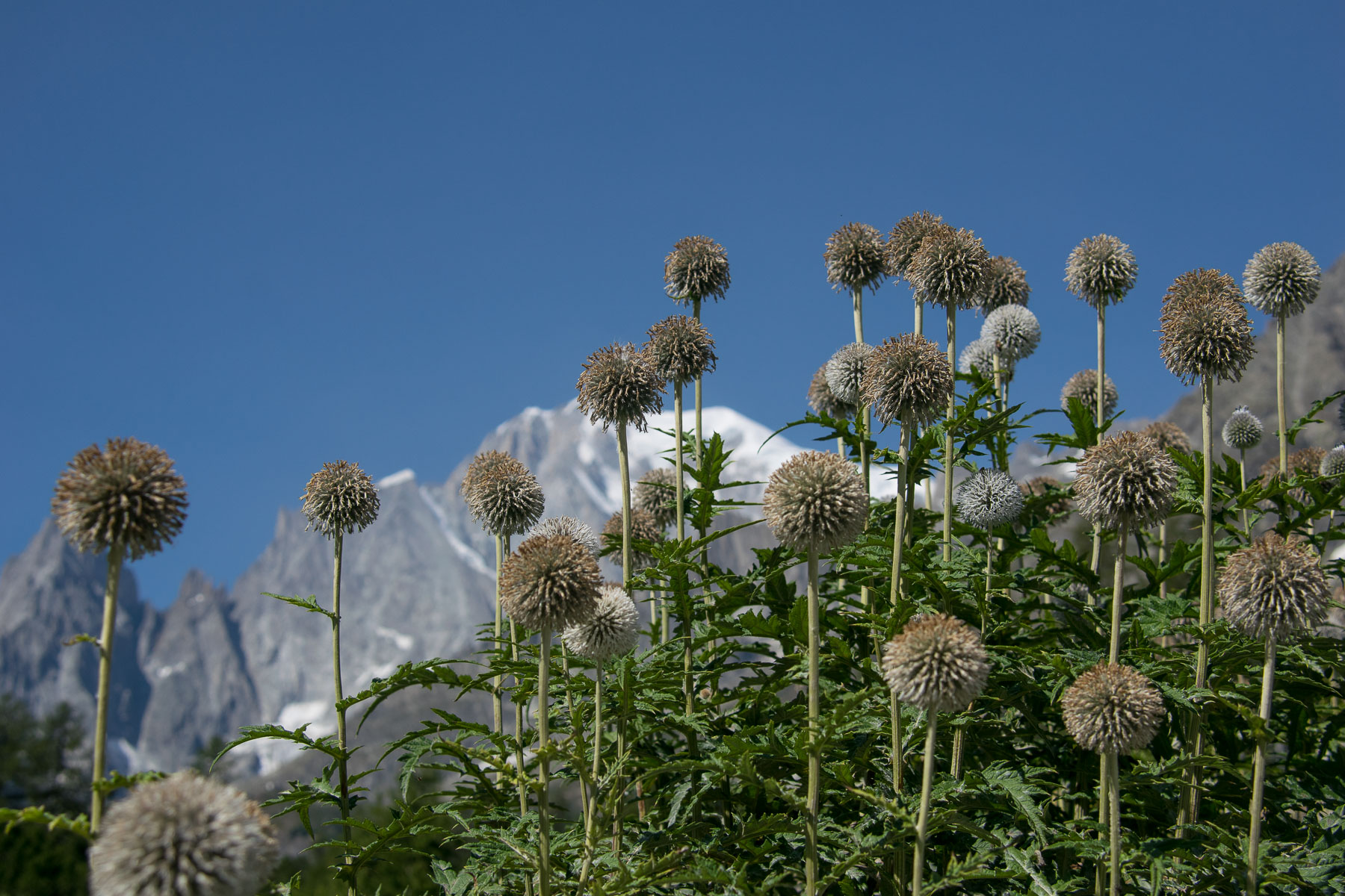 Val Ferret