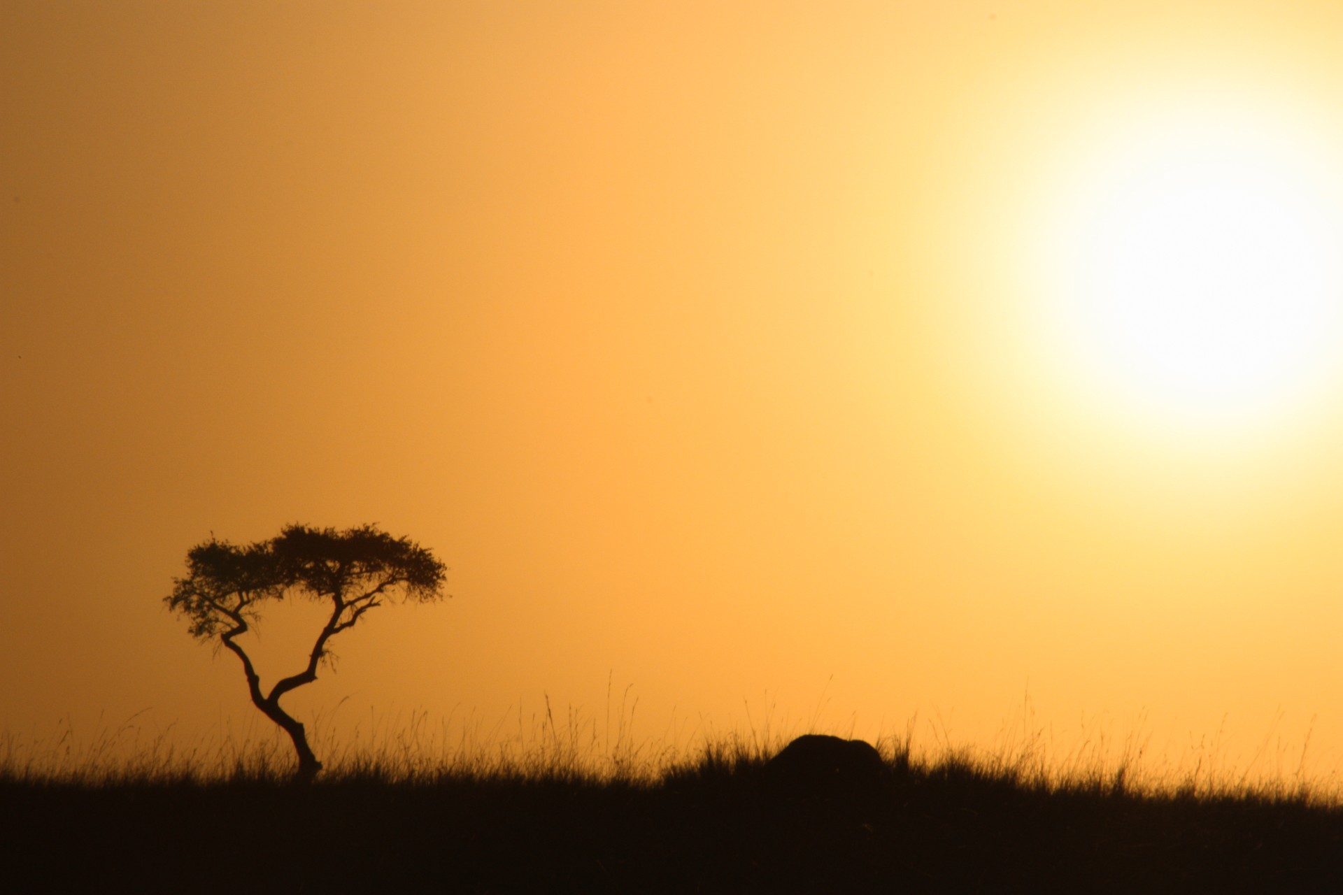 Alba sul Delta dell’Okawango, Botswana
