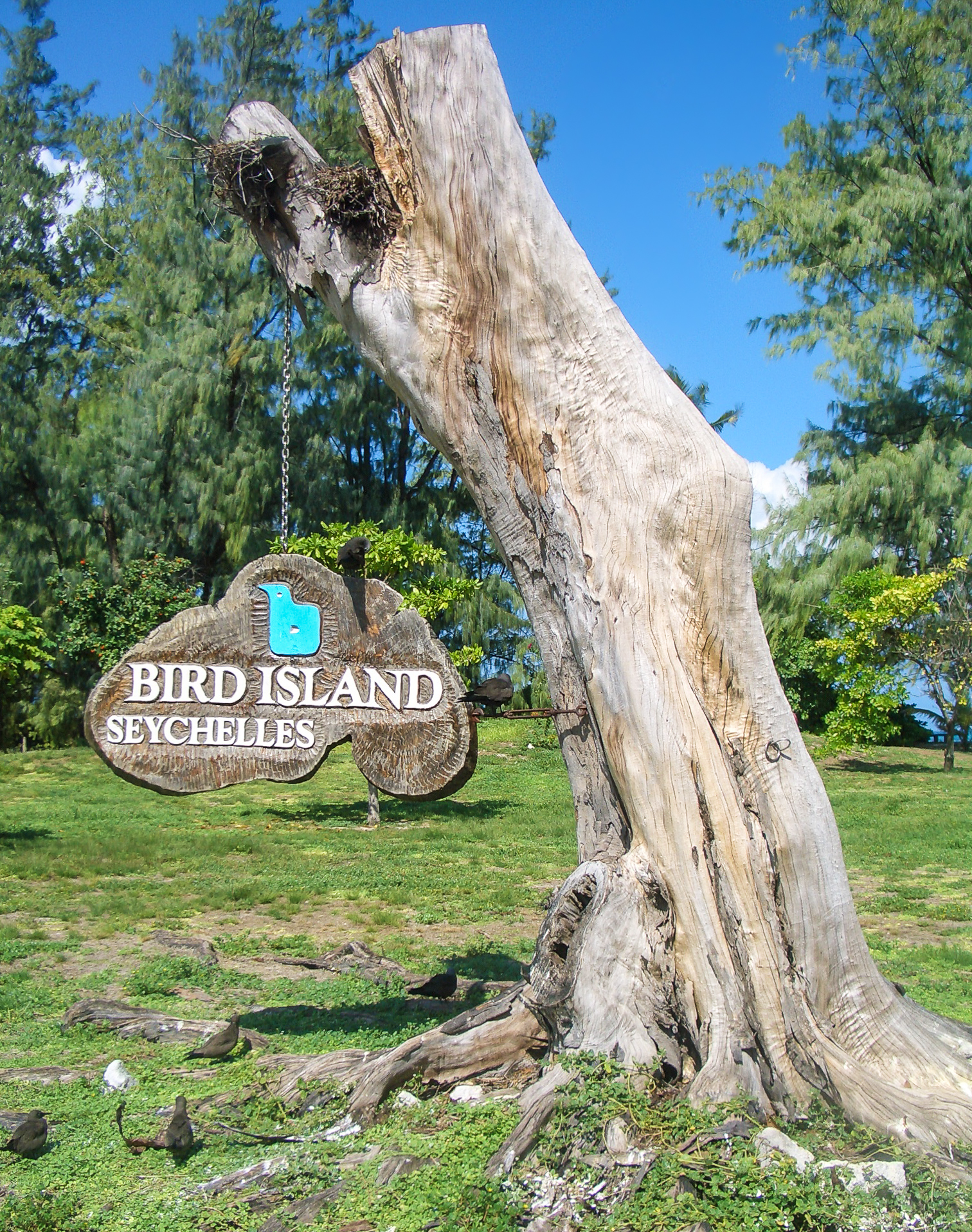 Bird Island, Seychelles