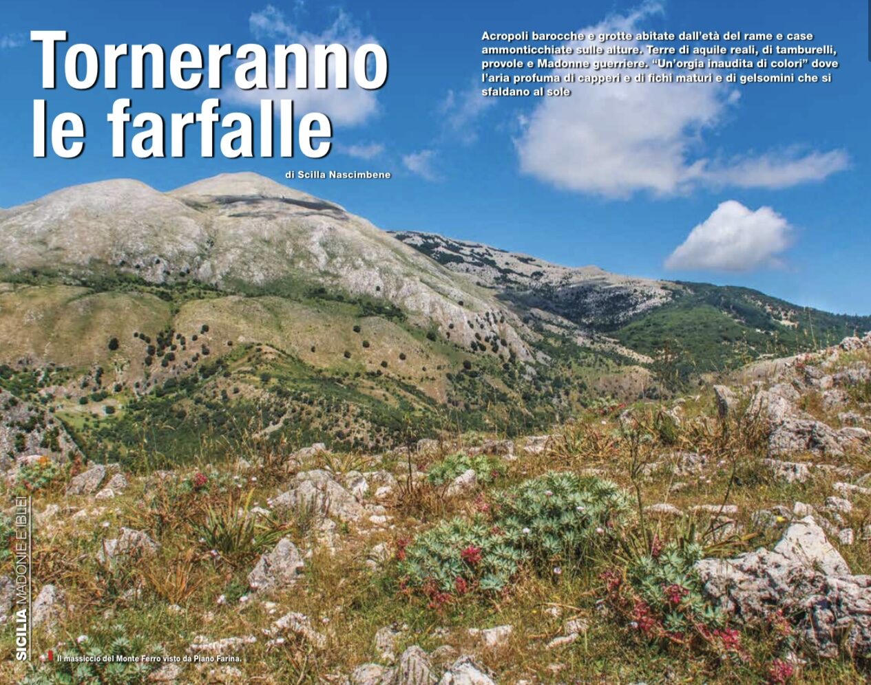 Riviste, magazine, press, giornalista, stampa, journalist, writer, travel, travel photographer reporter, rivista