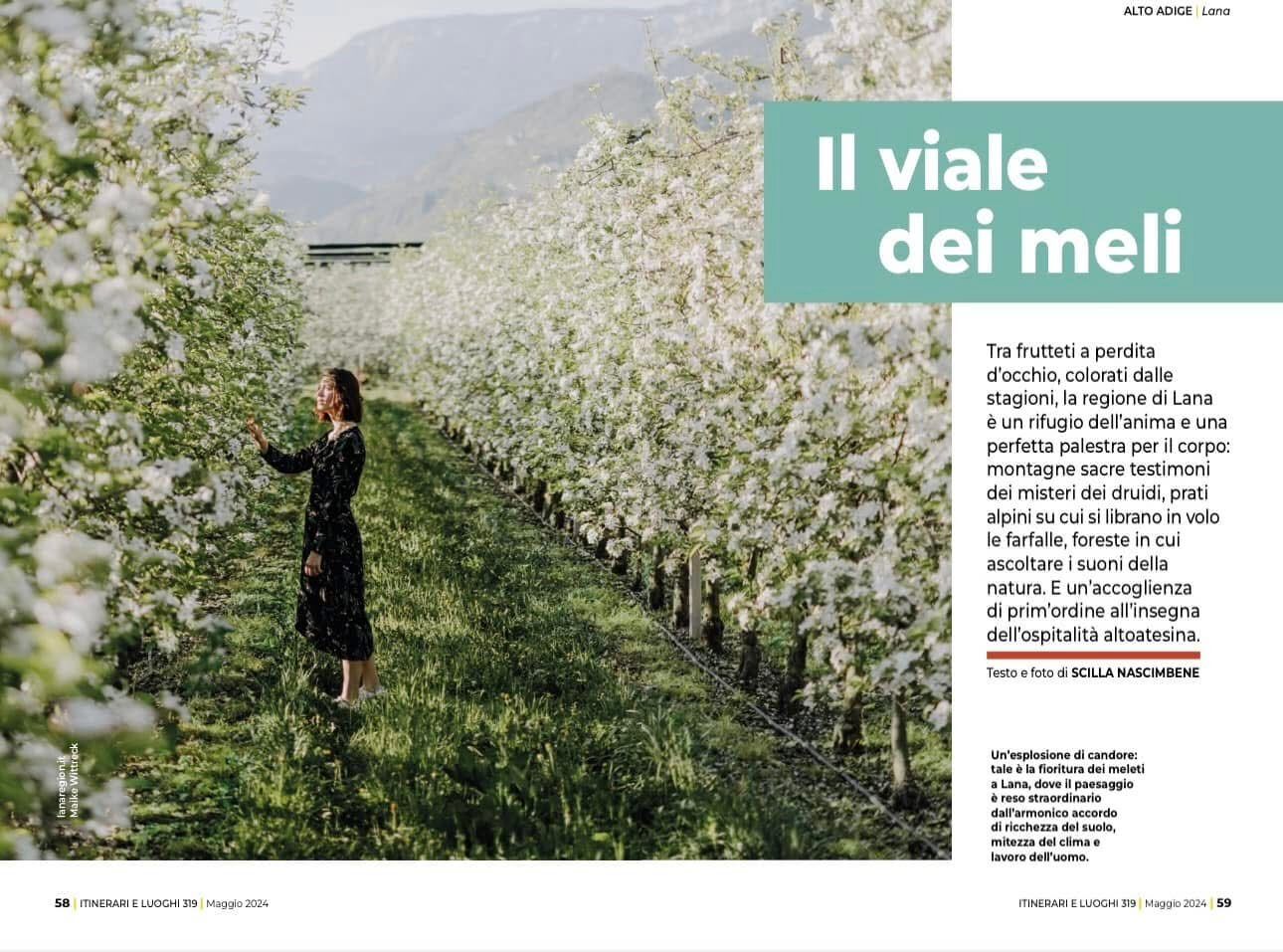Riviste, magazine, press, giornalista, stampa, journalist, writer, travel, travel photographer reporter, rivista