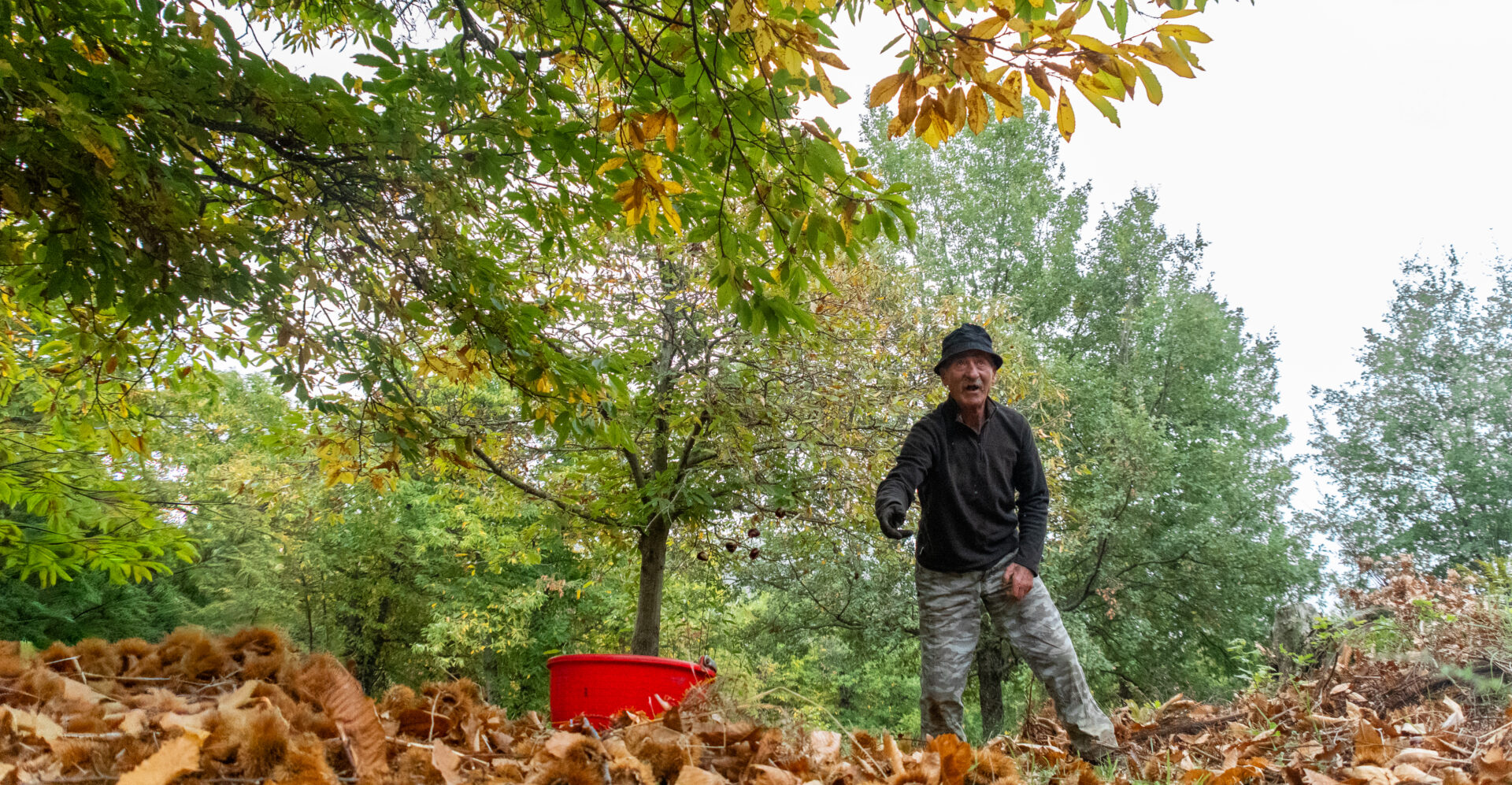 Nei castagneti dei Monti Prenestini con Gino Ponzo