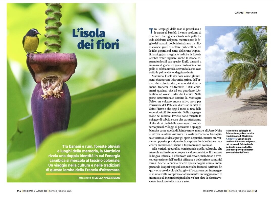 L’isola dei fiori