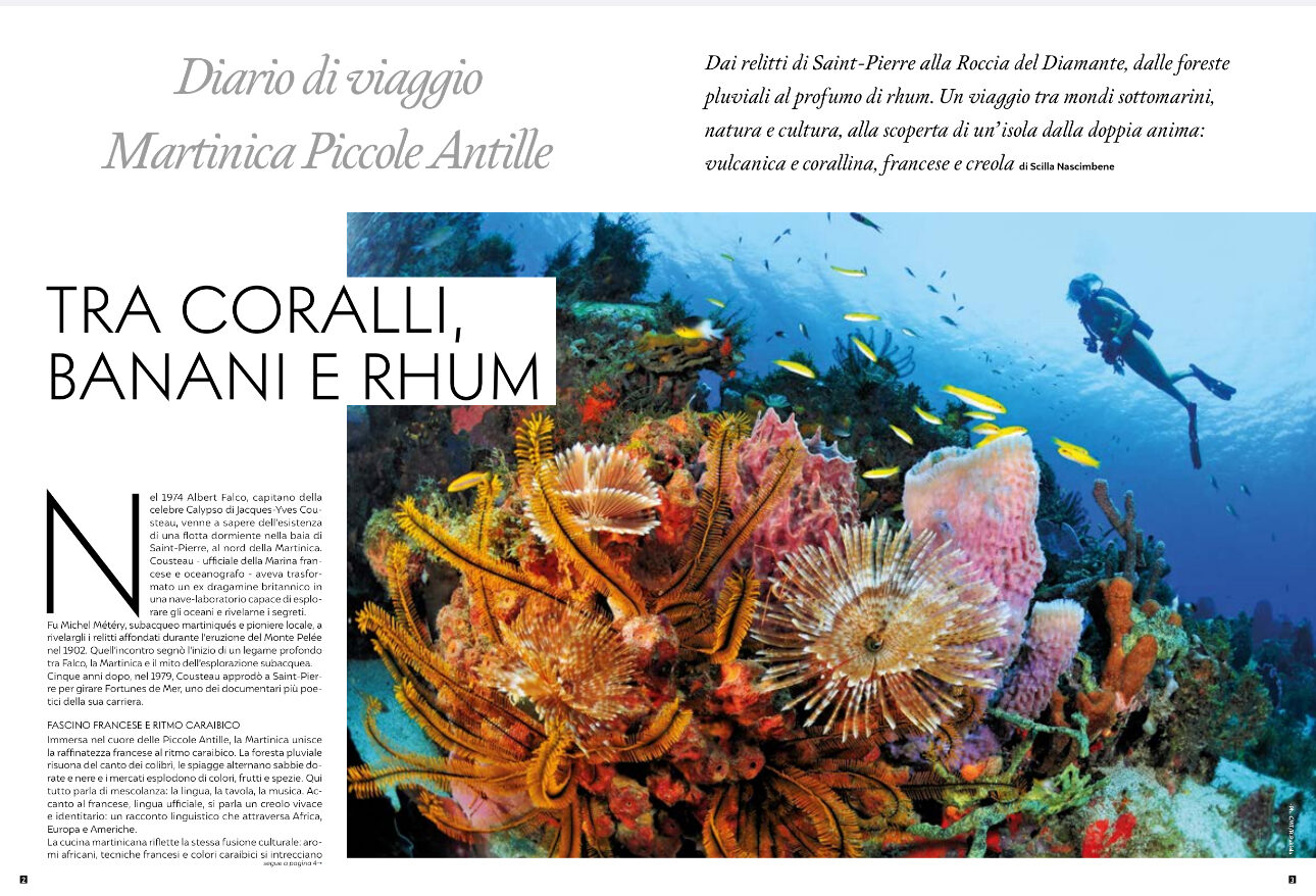 Tra coralli, banani e rhum