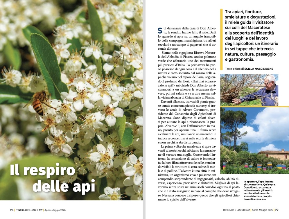 Il respiro delle api