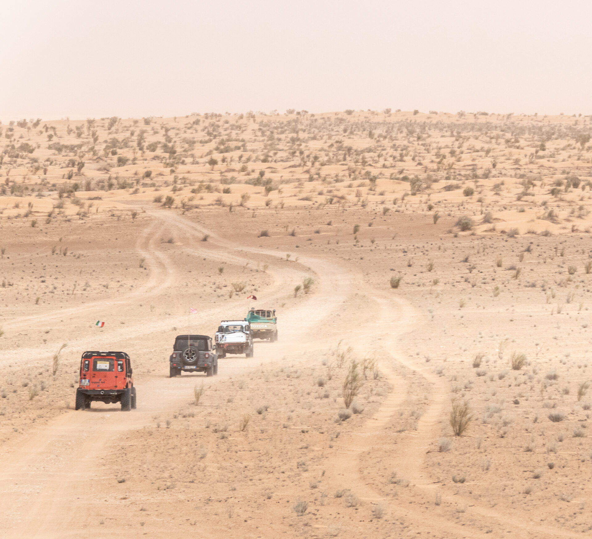 El Mida. Tunisia