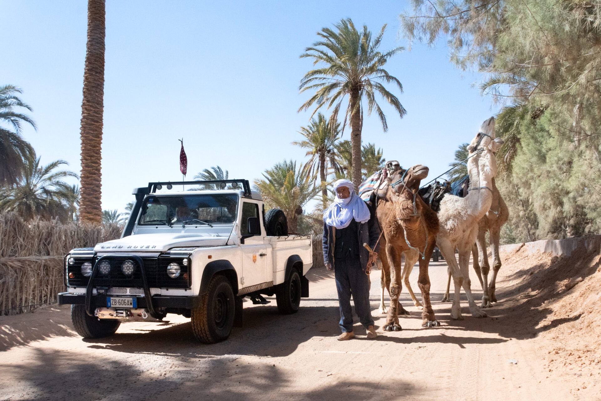 Manuel e Giovanna e i dromedari. Ksar Ghilane. Tunisia