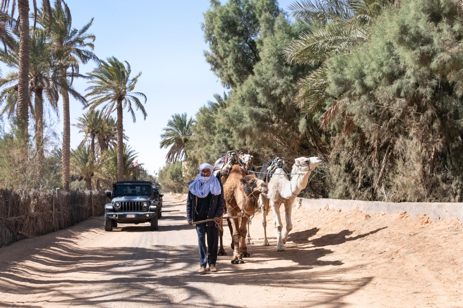 Ale e Lella e i dromedari. Ksar Ghilane. Tunisia