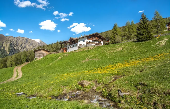 Quella baita ai piedi dei larici