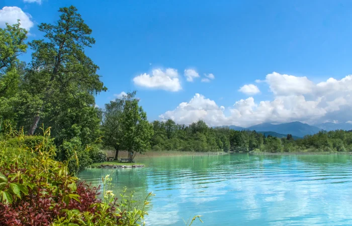 Le sinfonie del lago