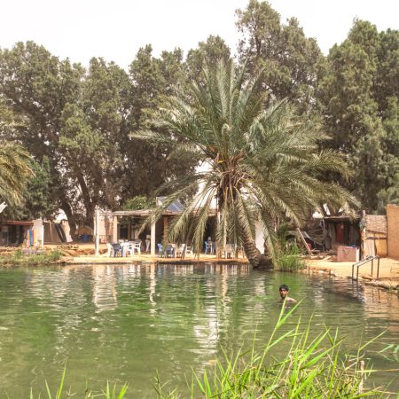 Oasi di Ksar Ghilane, Tunisia