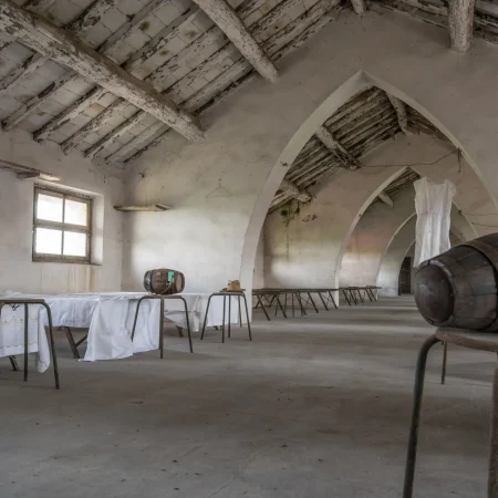 Le mondine di Cascina Caccia